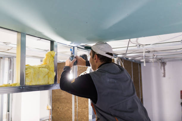 Best DIY Insulation Kits and Guidance in Carthage, NY