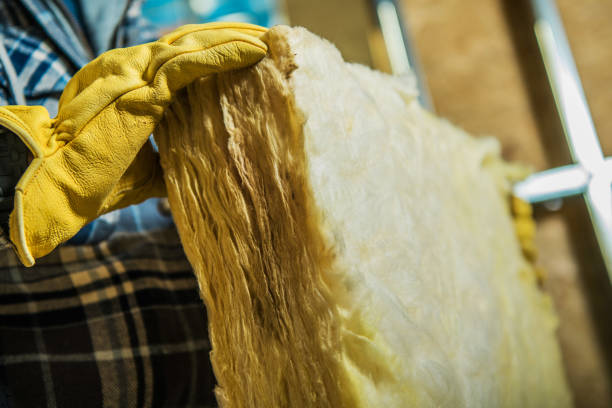 Best Geographic-Specific Insulation Services in Carthage, NY