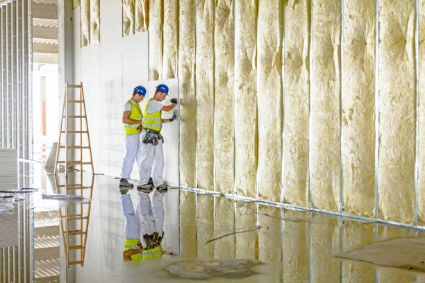 Best Spray Foam Insulation in Carthage, NY